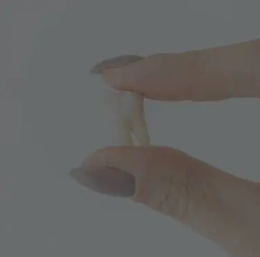 En utslagen tand som hålls mellan tumme och pekfinger